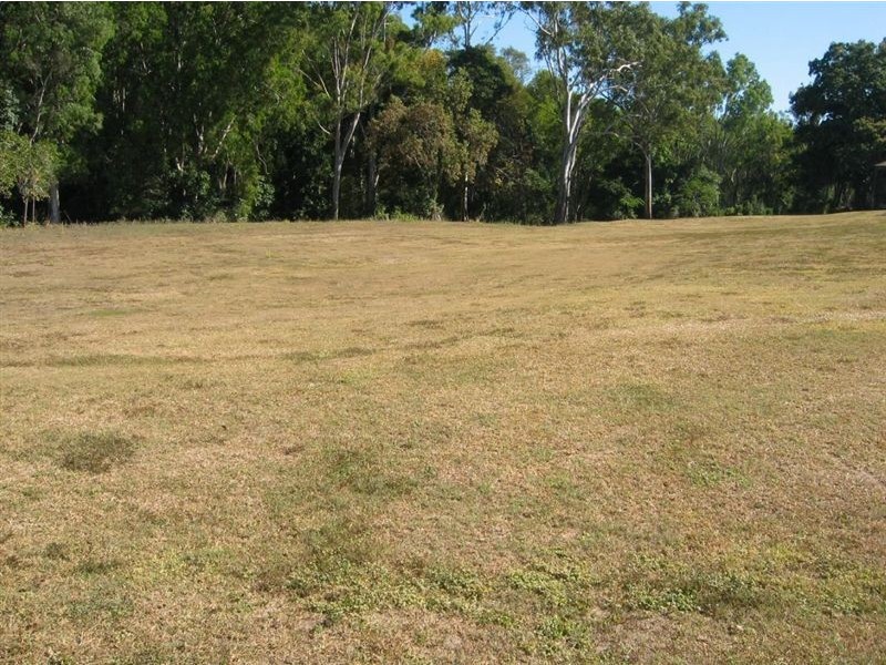 44 Stevens Drive, Homebush QLD 4740