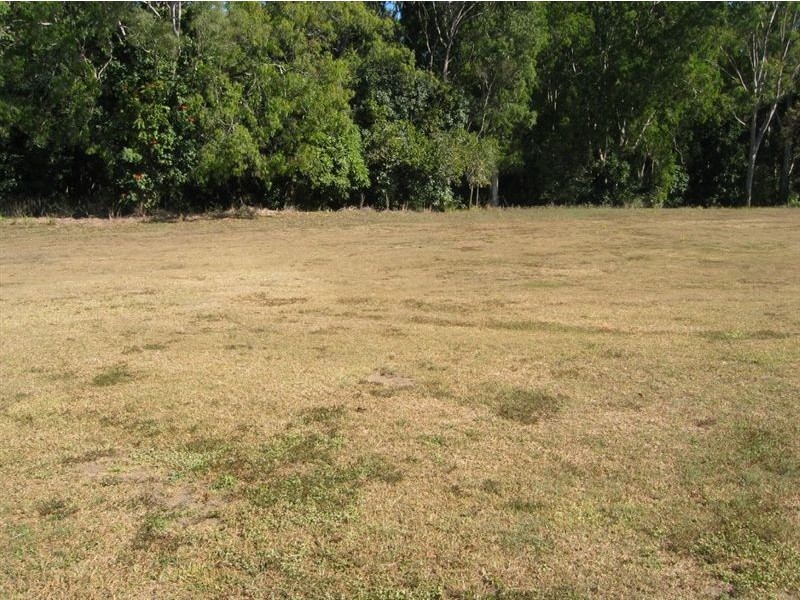 44 Stevens Drive, Homebush QLD 4740