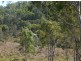 23 Carnegie Court, Oakenden QLD 4741
