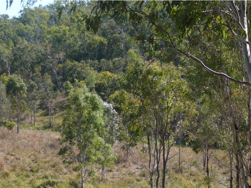 23 Carnegie Court, Oakenden QLD 4741
