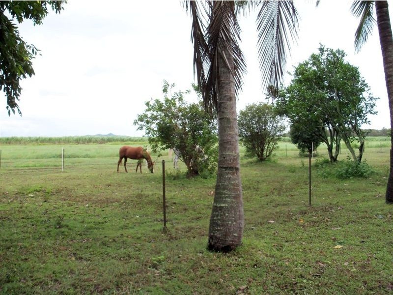 283 Balberra Road, Chelona QLD 4740