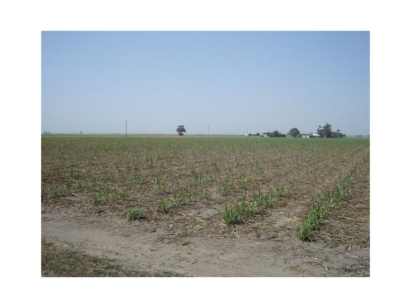 159 Peak Downs Highway, Ooralea QLD 4740