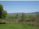 233 Mount Vince Road, Walkerston QLD 4751