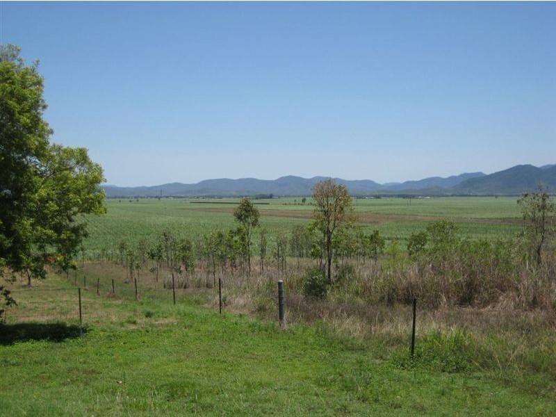 233 Mount Vince Road, Walkerston QLD 4751