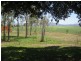 233 Mount Vince Road, Walkerston QLD 4751