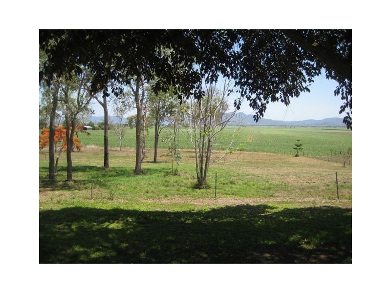 233 Mount Vince Road, Walkerston QLD 4751