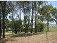 233 Mount Vince Road, Walkerston QLD 4751