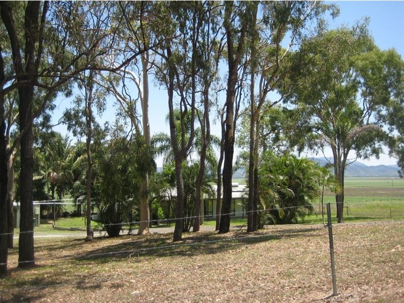 233 Mount Vince Road, Walkerston QLD 4751