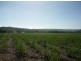 490 Bager Wales Road, Mirani QLD 4754