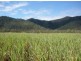 490 Bager Wales Road, Mirani QLD 4754