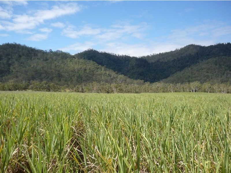 490 Bager Wales Road, Mirani QLD 4754