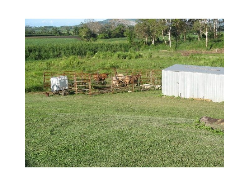 6 Leap Access Road, The Leap QLD 4740