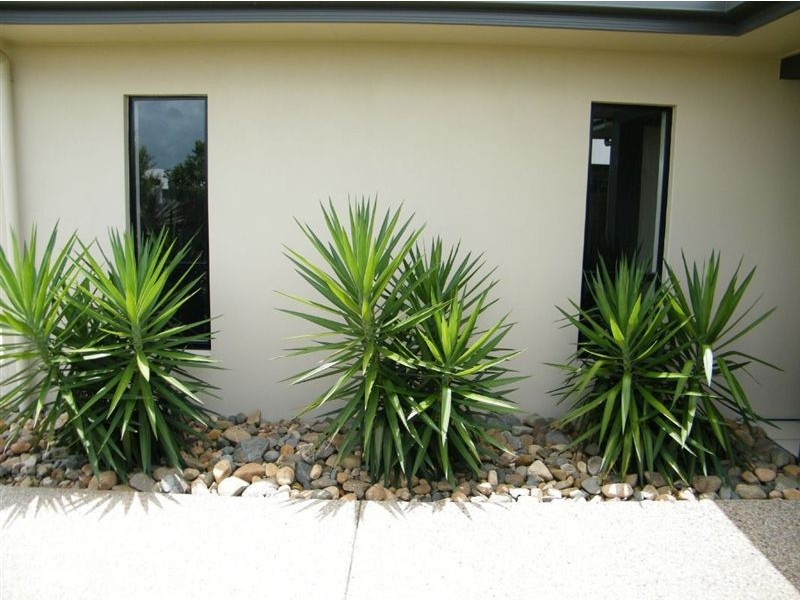 26 Gingham Street, Glenella QLD 4740