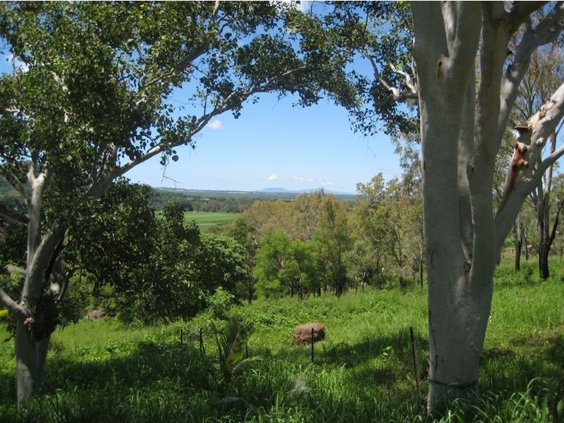 82 Mdina Road, Habana QLD 4740