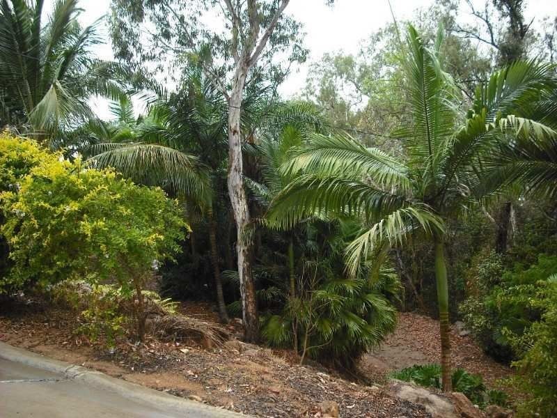 14 Sturgeon Street, Ball Bay QLD 4741
