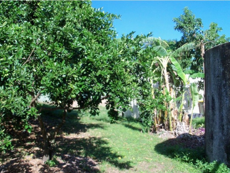 36 Poinciana Avenue, Seaforth QLD 4741