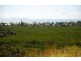 11 View Court, Seaforth QLD 4741
