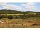 11 View Court, Seaforth QLD 4741