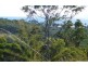 11 View Court, Seaforth QLD 4741