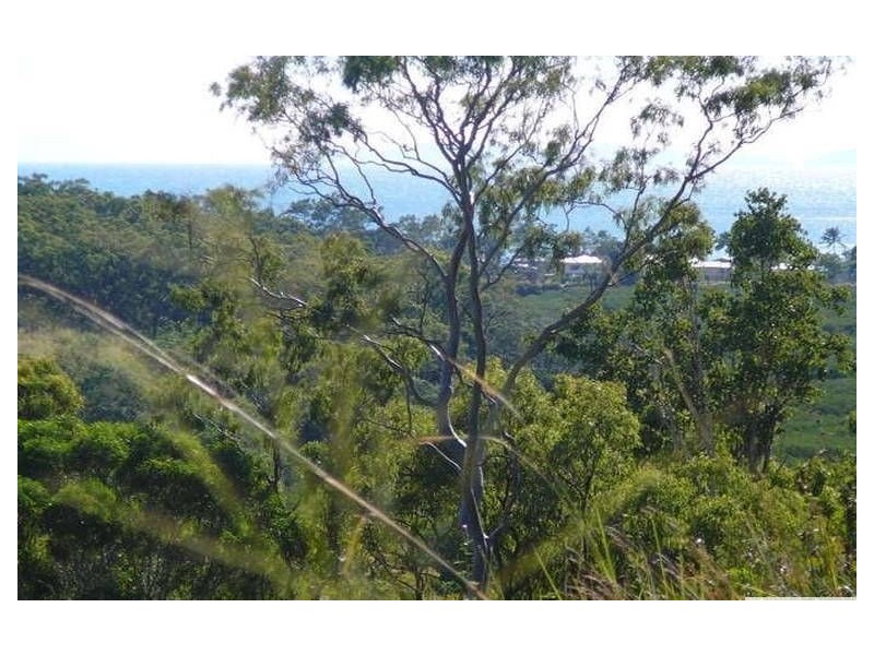 11 View Court, Seaforth QLD 4741