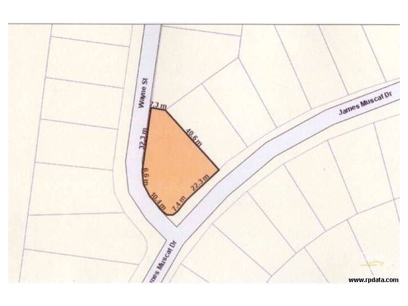 29 James Muscat Drive, Walkerston QLD 4751