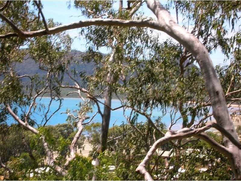 15 Sturgeon Street, Ball Bay QLD 4741