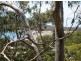 15 Sturgeon Street, Ball Bay QLD 4741