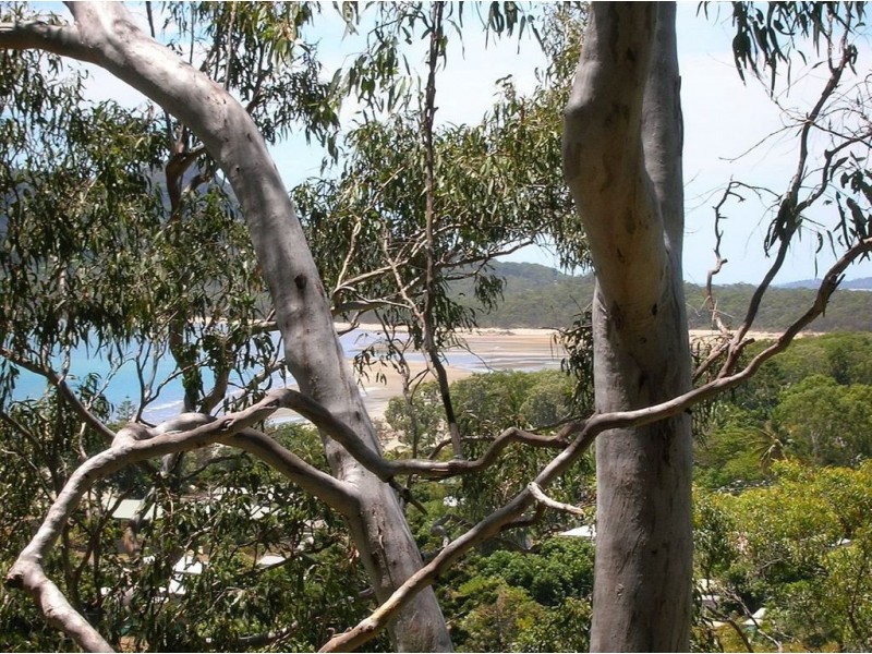 15 Sturgeon Street, Ball Bay QLD 4741