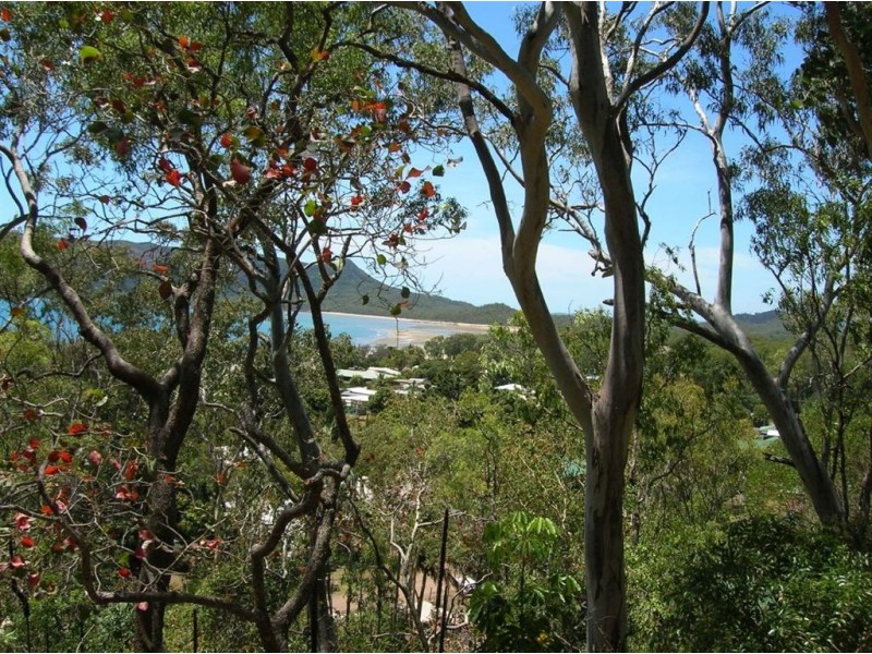 15 Sturgeon Street, Ball Bay QLD 4741