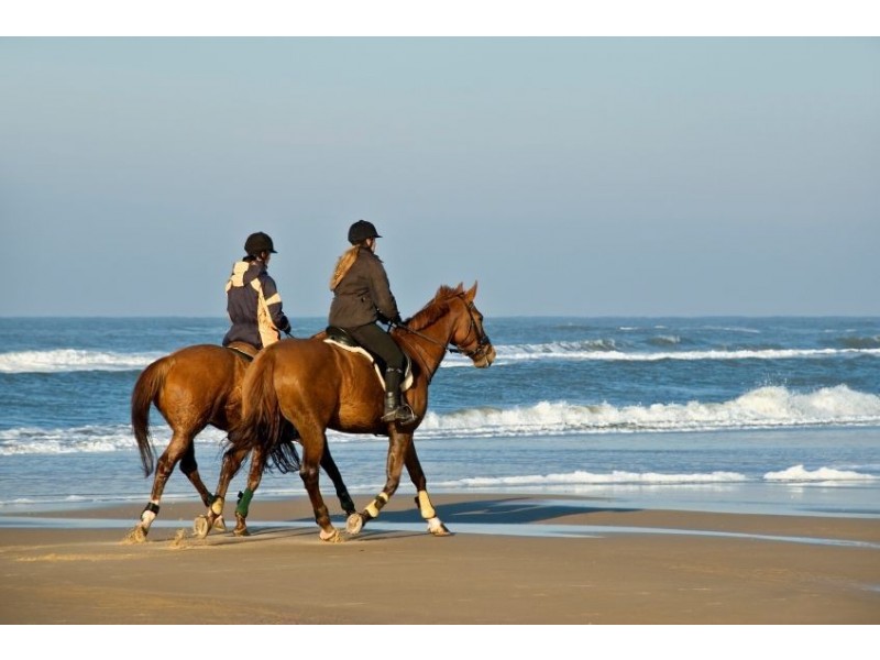 1 Trilla Hills Estate, Alligator Creek QLD 4740