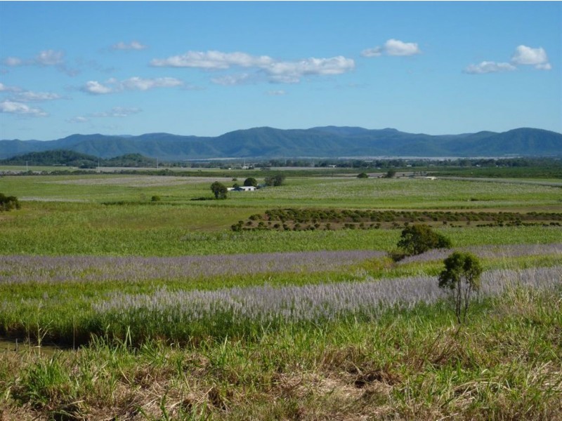 1 Trilla Hills Estate, Alligator Creek QLD 4740