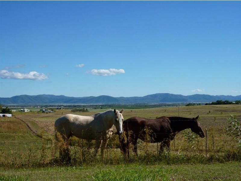 1 Trilla Hills Estate, Alligator Creek QLD 4740