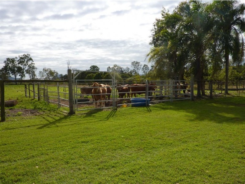 27 Dunwold Cattle Creek Road, Mirani QLD 4754