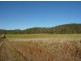 Lot2 Old Bowen Coach Road, Balnagowan QLD 4740