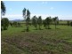 75 Ritchies Road, Mackay QLD 4740
