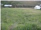 41 Ian Wood Drive, Dolphin Heads QLD 4740