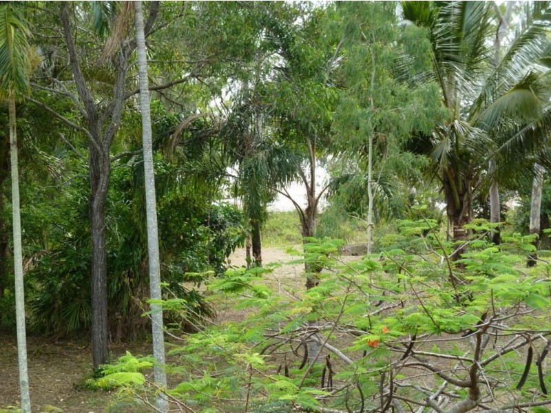 39 Buoro Street, Ball Bay QLD 4741