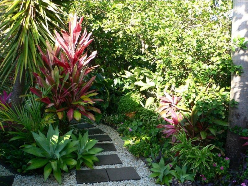 16 Frangipanni Avenue, Seaforth QLD 4741