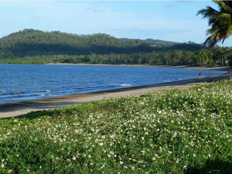 12 George Street, Seaforth QLD 4741