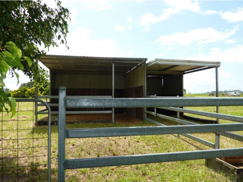 12 Griffiths Drive, Pleystowe QLD 4741