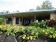 175 Olletts Road, Habana QLD 4740