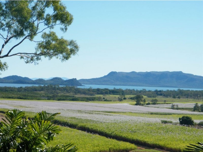 175 Olletts Road, Habana QLD 4740