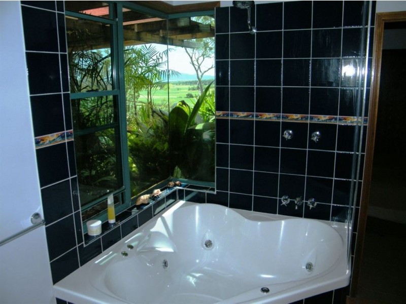 175 Olletts Road, Habana QLD 4740