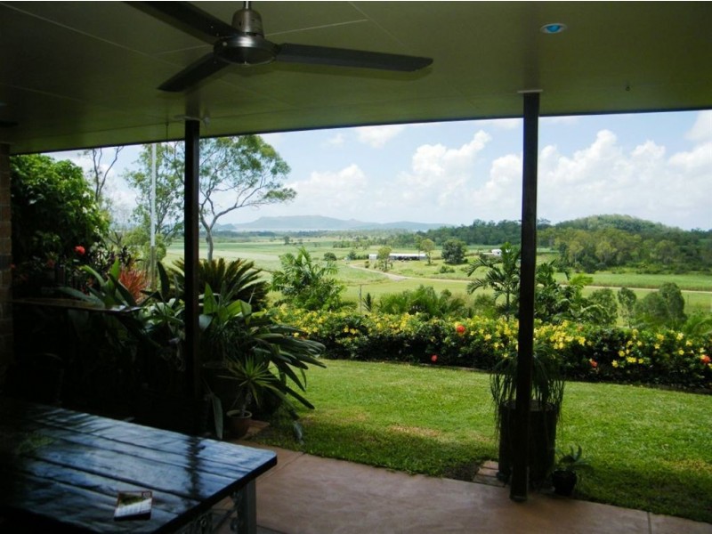 175 Olletts Road, Habana QLD 4740