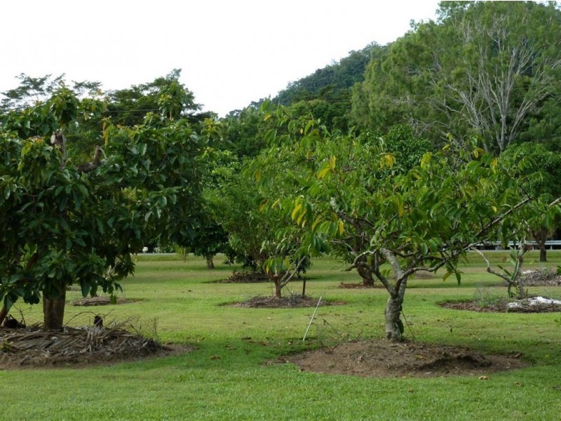 216 Cape Hillsborough Road, Ball Bay QLD 4741