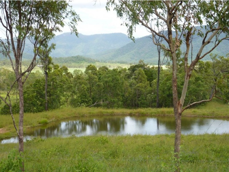 7758 “Hillcrest” Bruce Highway, Bloomsbury QLD 4799