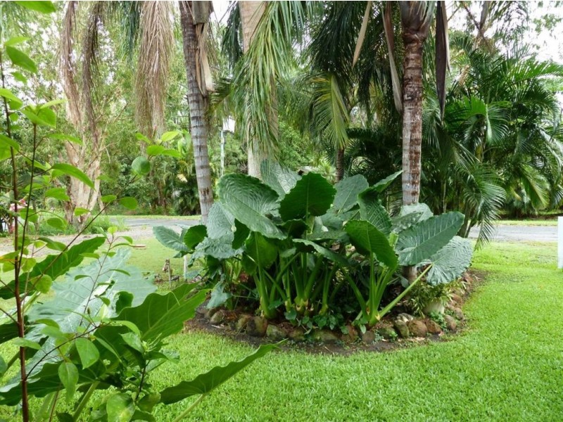8 Adamson Street, Haliday Bay QLD 4740