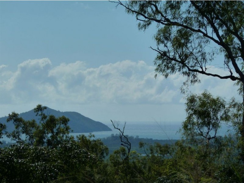 1642 Yakapari-Seaforth Road, Seaforth QLD 4741