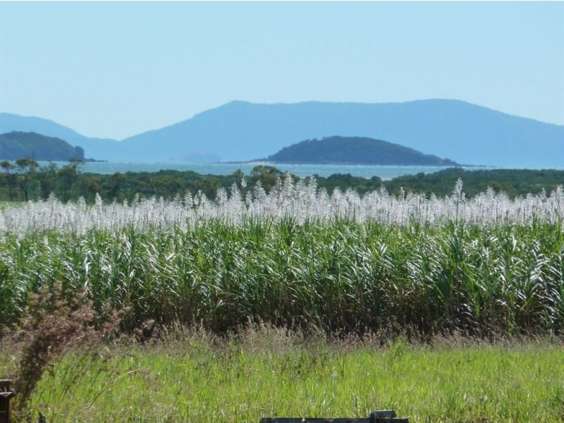 Lot 474 Howlands Road, Mount Ossa QLD 4741