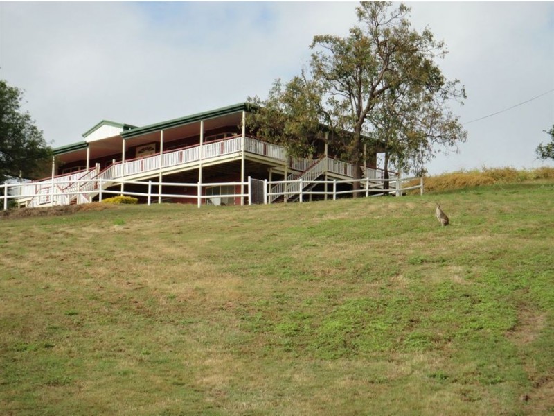 159 Gardiners Road, Habana QLD 4740